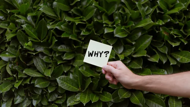 Hand hält einen Zettel mit „Why?“ vor einer Hecke – häufige Fragen zum Parken am Flughafen Memmingen