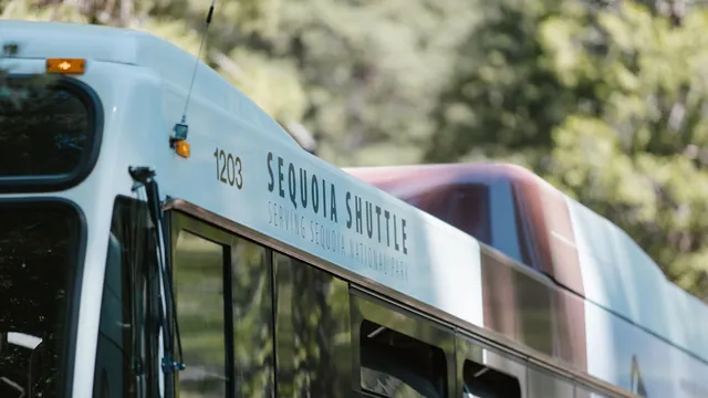 Shuttlebus zwischen Bäumen – Shuttle-Parken am Flughafen Dortmund
