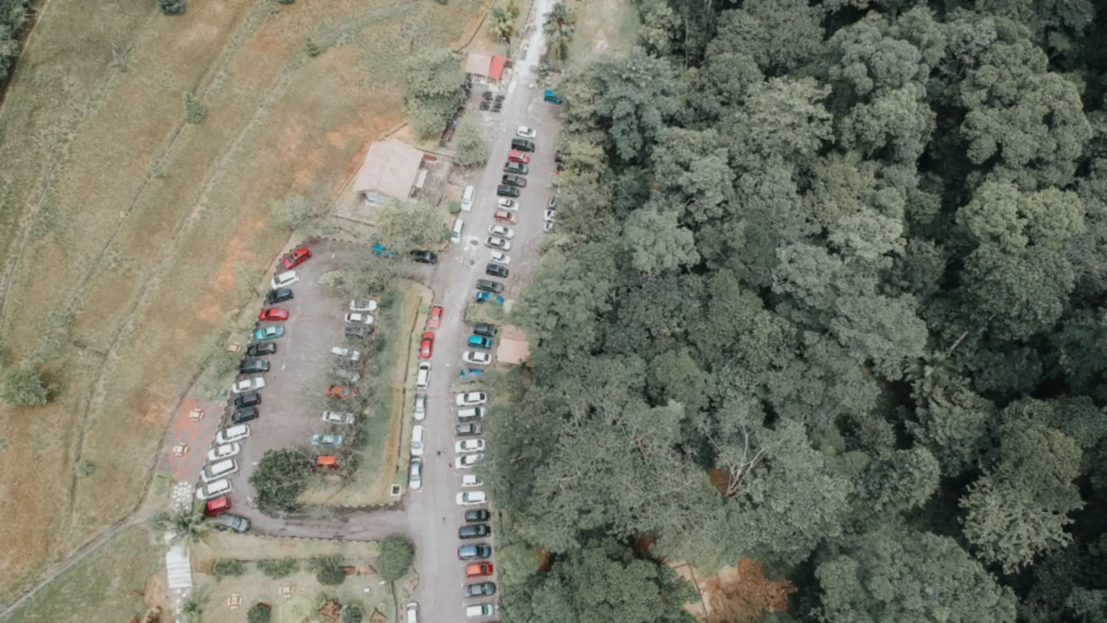 Parkplatz am Waldrand aus der Luft – Valet oder Shuttle am Flughafen Nürnberg